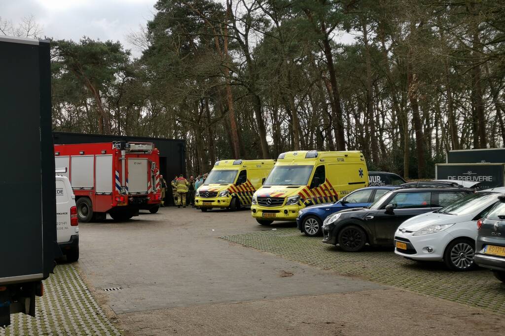 Boom op persoon gevallen in bosgebied