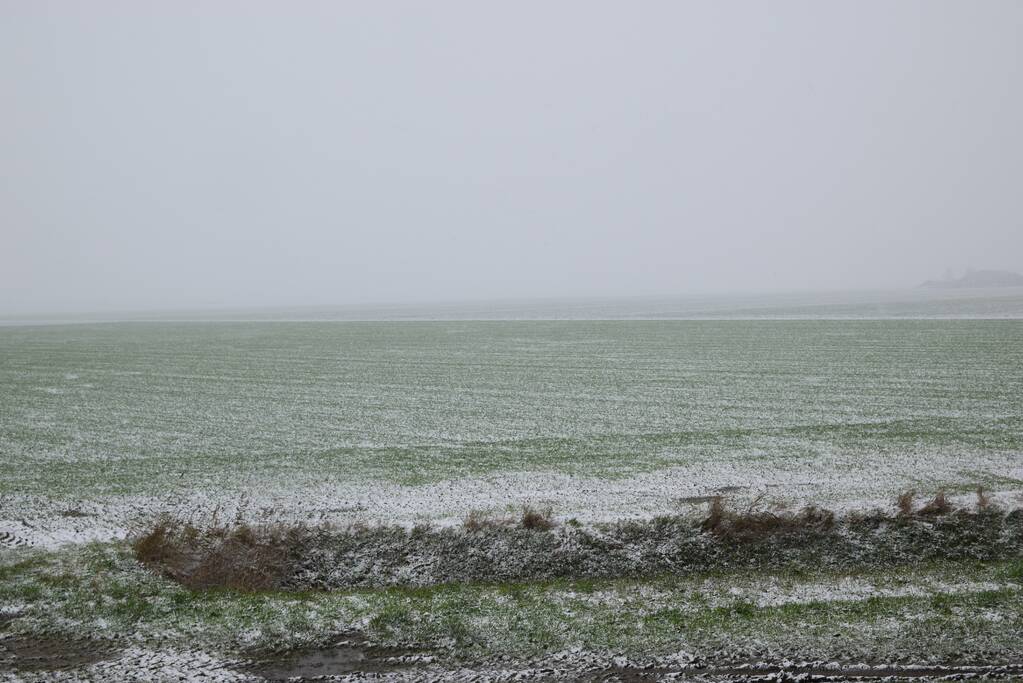 Eerste sneeuwvlokken in provincie Zeeland