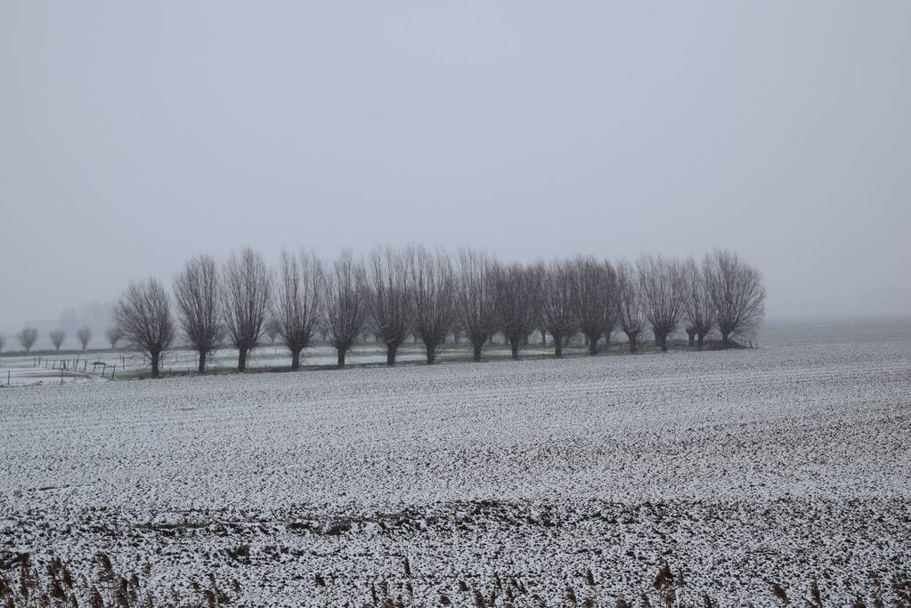 Eerste sneeuwvlokken in provincie Zeeland