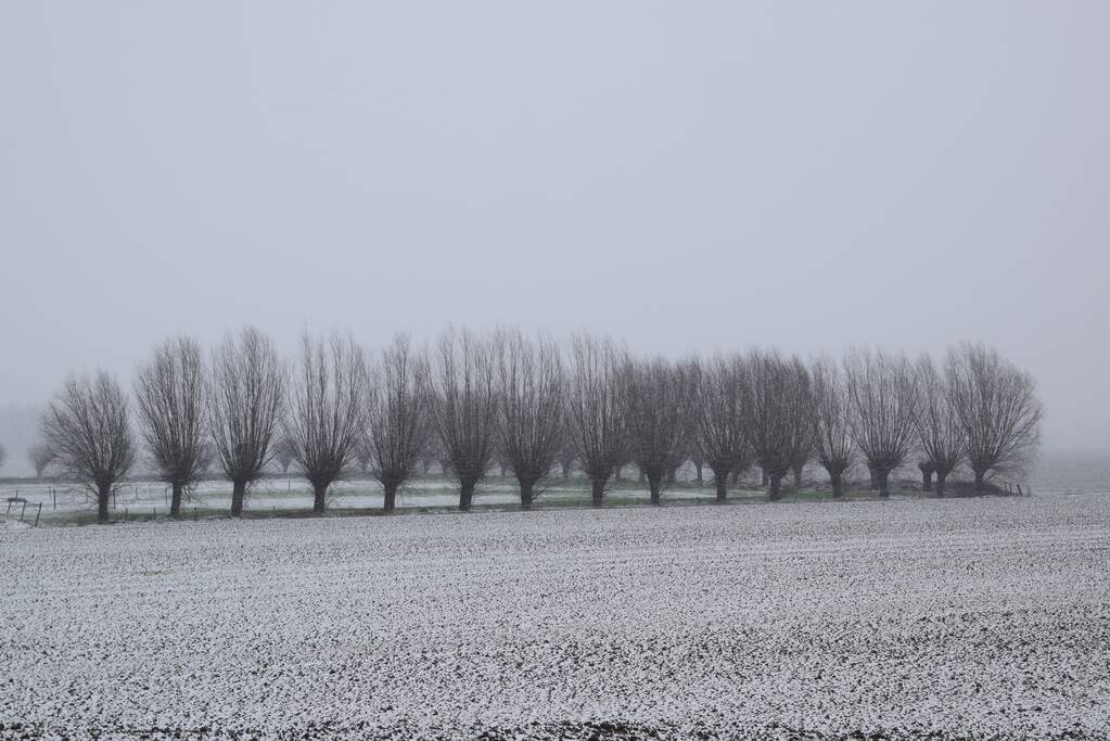 Eerste sneeuwvlokken in provincie Zeeland