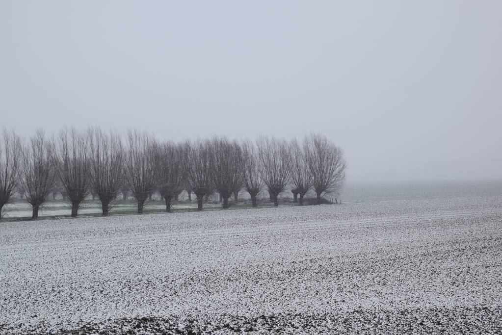 Eerste sneeuwvlokken in provincie Zeeland