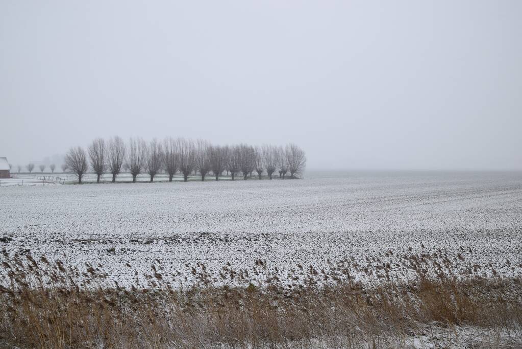 Eerste sneeuwvlokken in provincie Zeeland