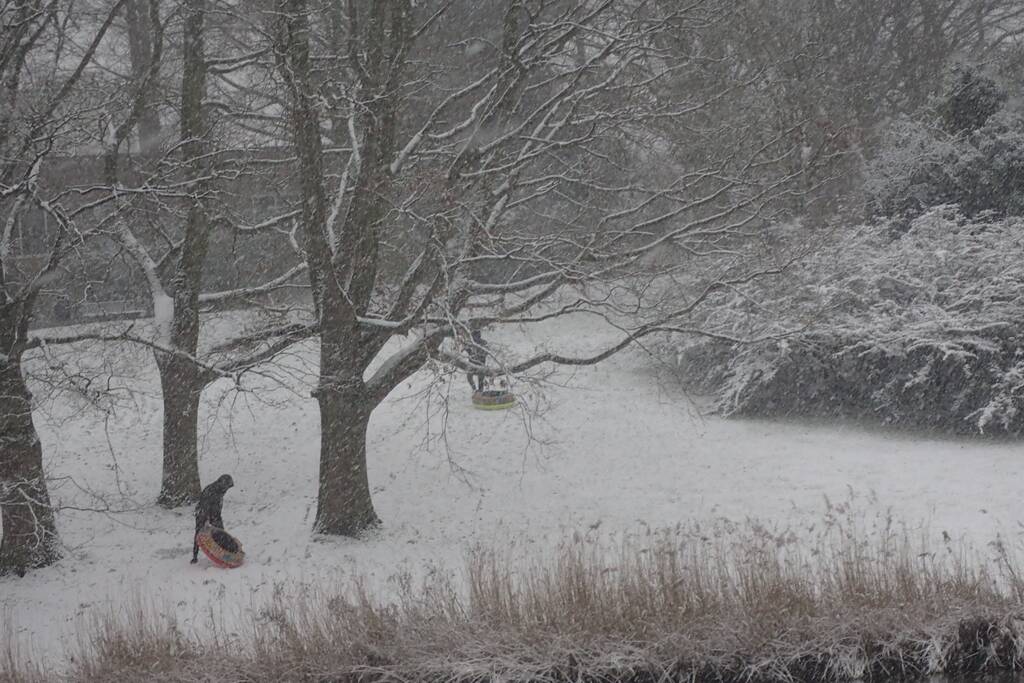 Eerste sneeuwvlokken in provincie Zeeland