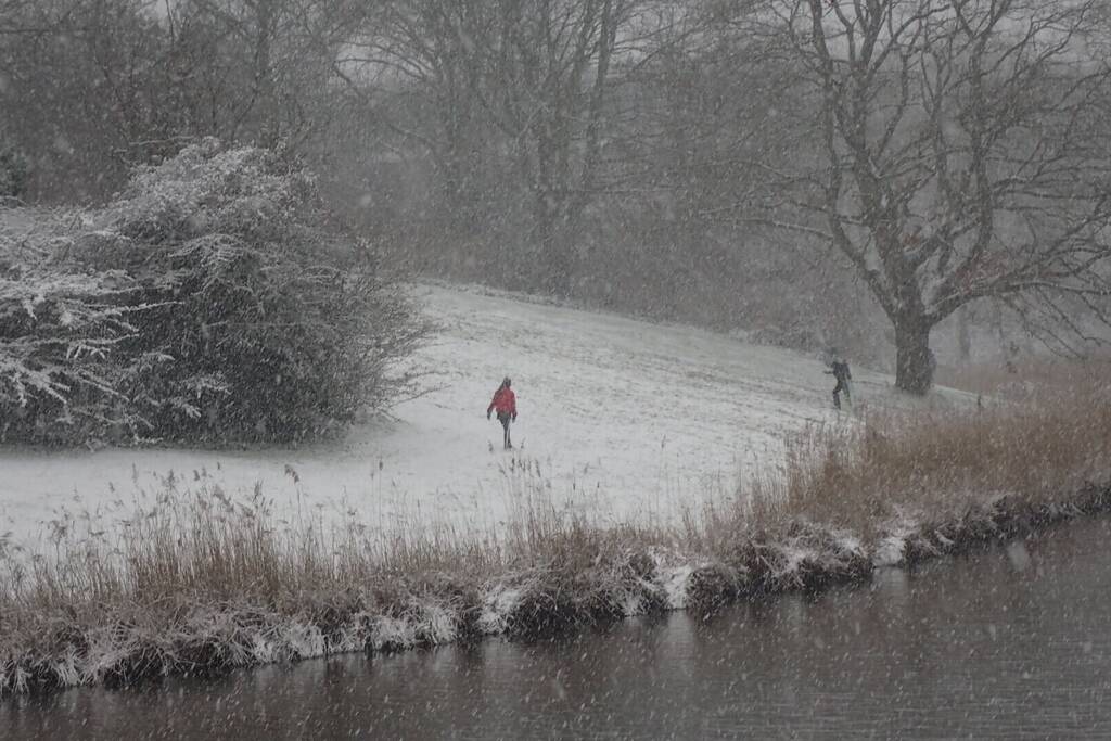 Eerste sneeuwvlokken in provincie Zeeland