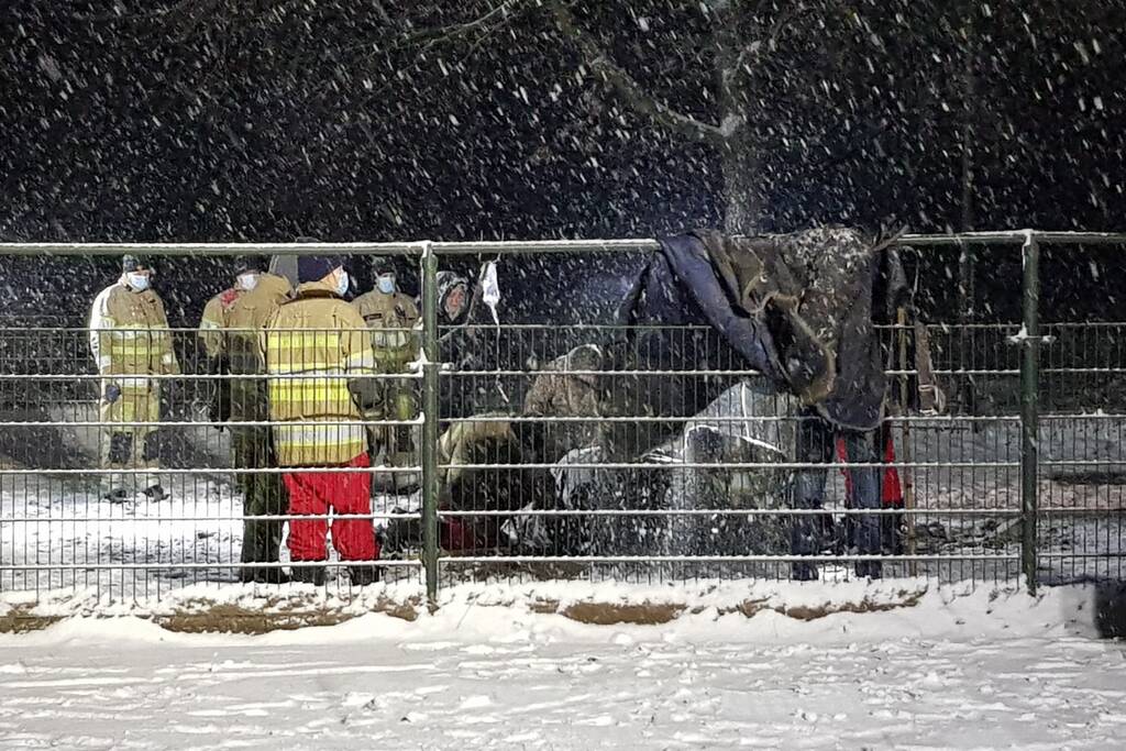 Brandweer helpt paard omhoog