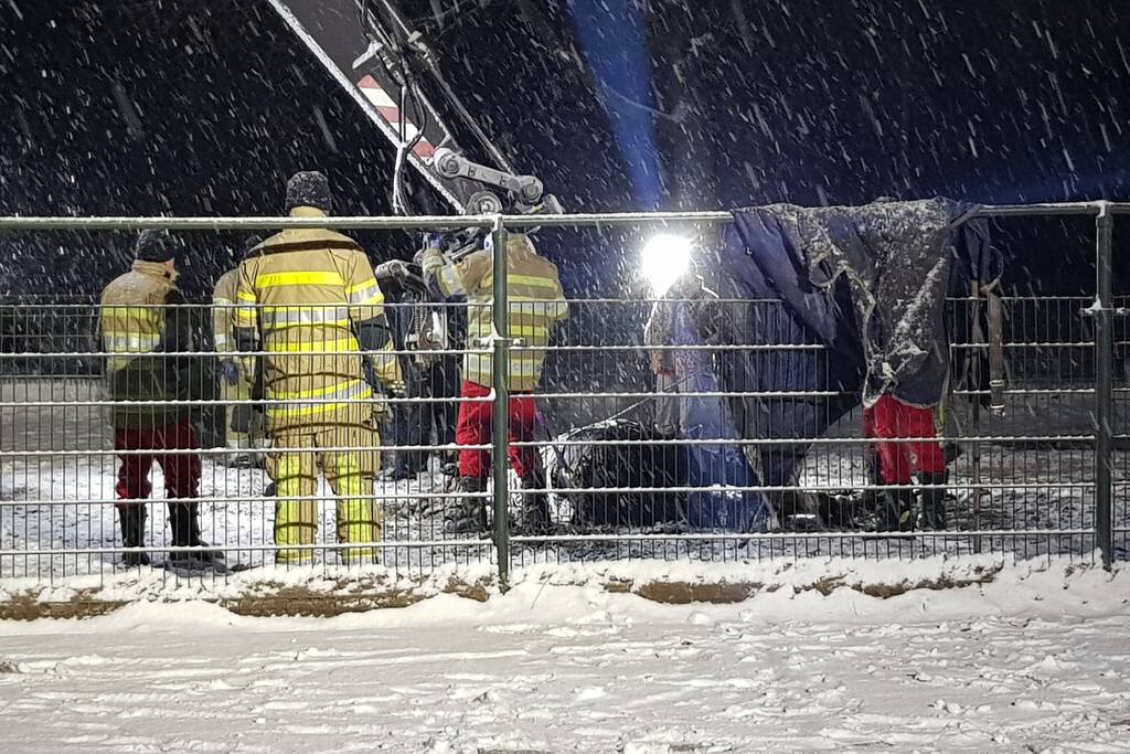 Brandweer helpt paard omhoog