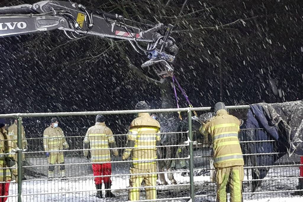 Brandweer helpt paard omhoog