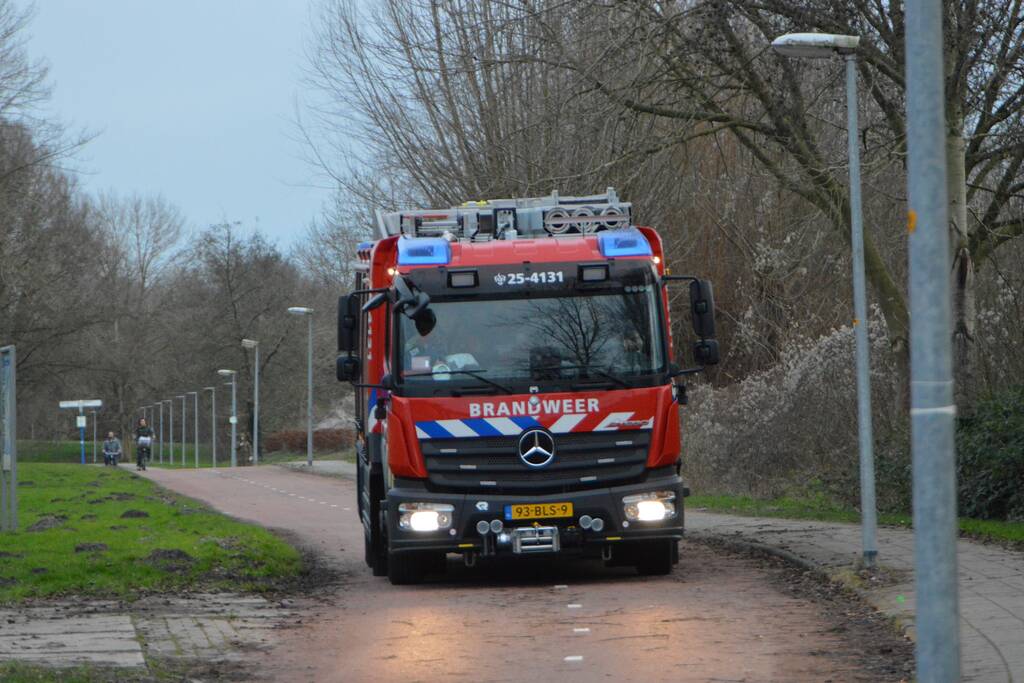 Riet in brand