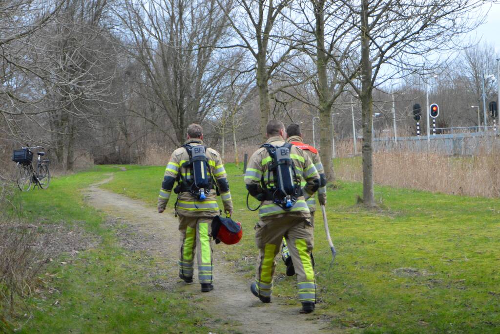Riet in brand