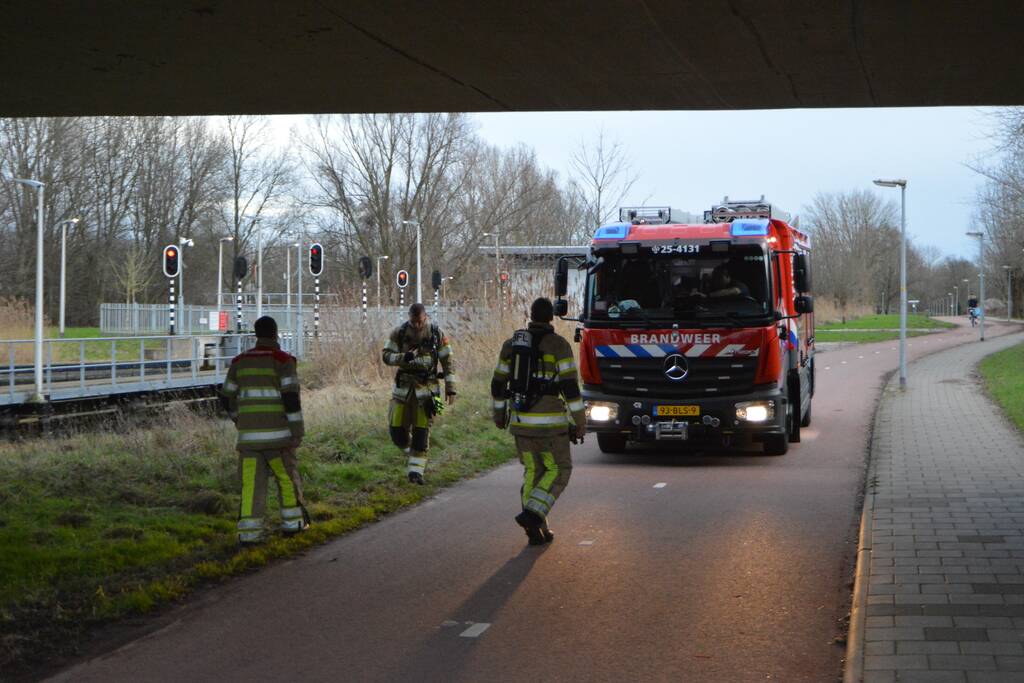 Riet in brand