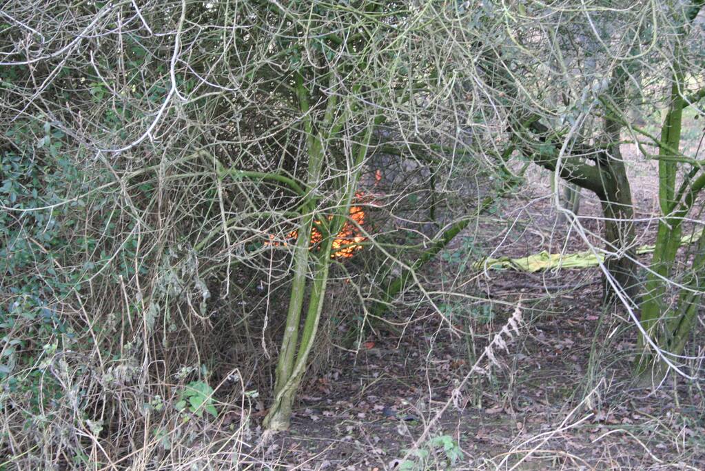 Brandweer blust autoband in bos