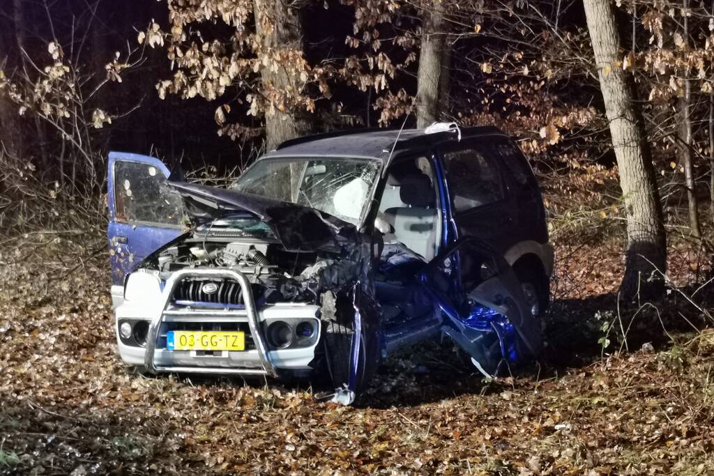 Auto tegen boom geëindigd
