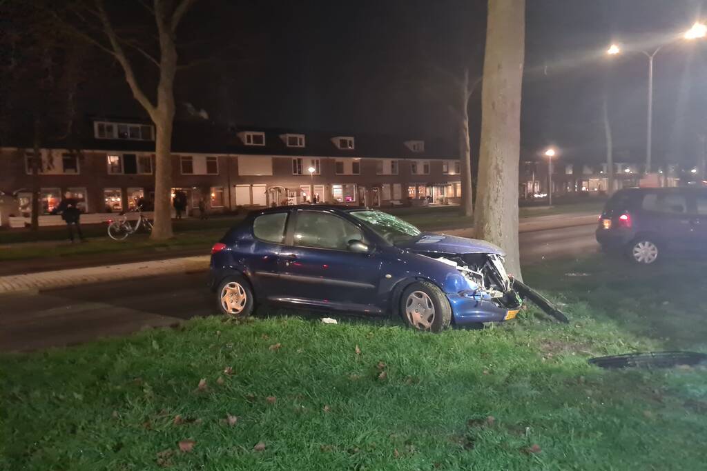 Automobilist knalt met voertuig op boom