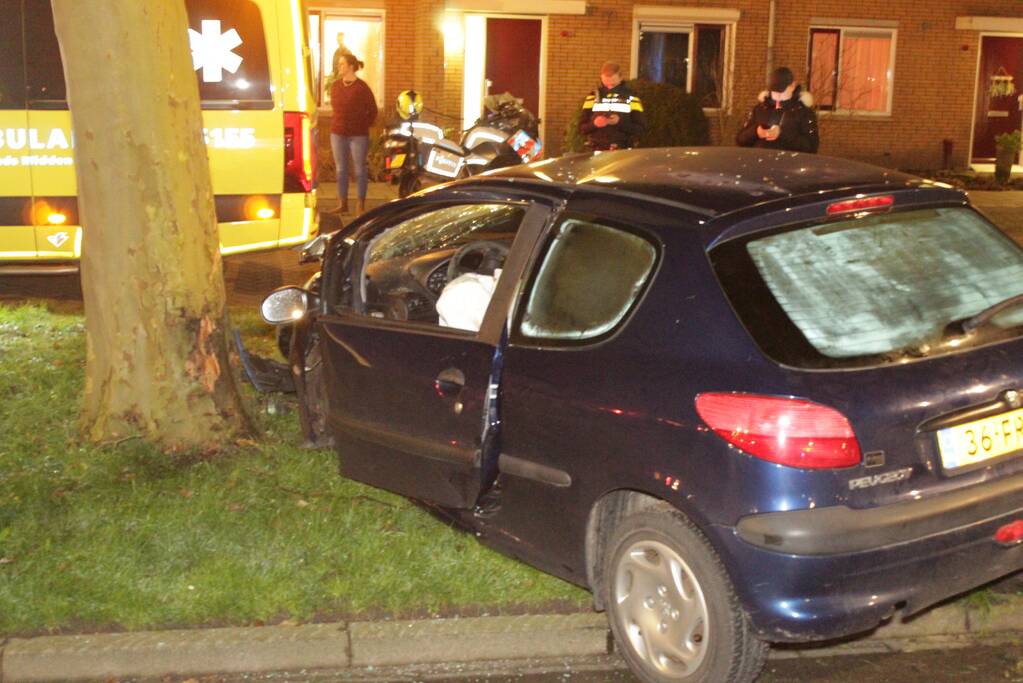 Automobilist knalt met voertuig op boom