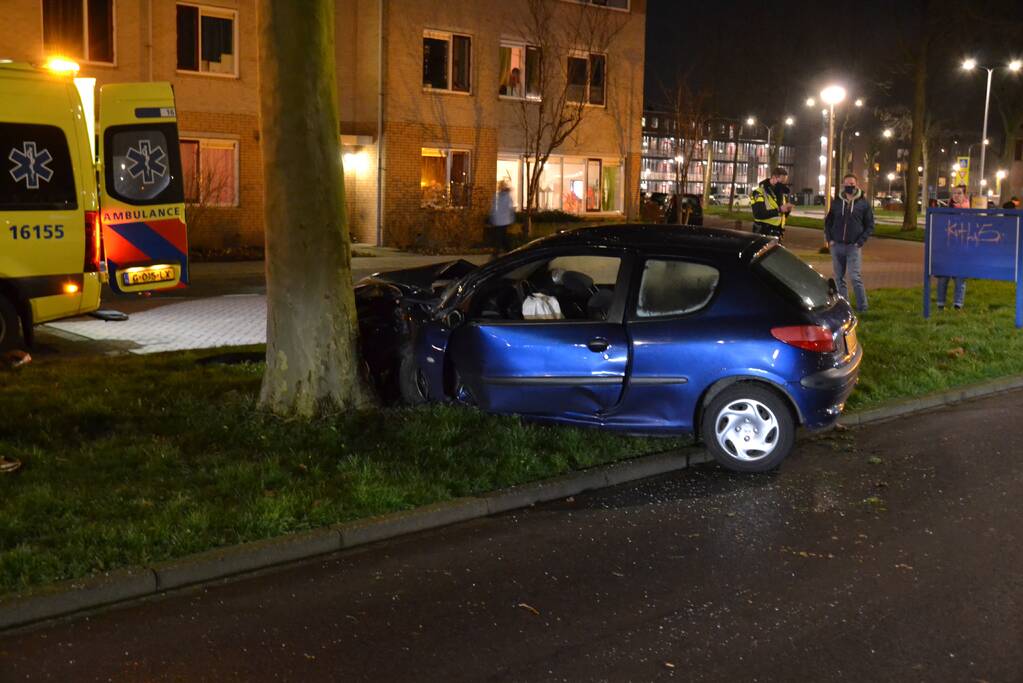 Automobilist knalt met voertuig op boom