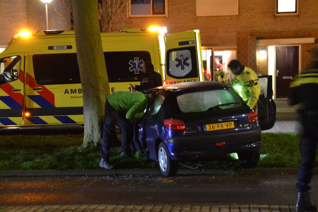 Automobilist knalt met voertuig op boom