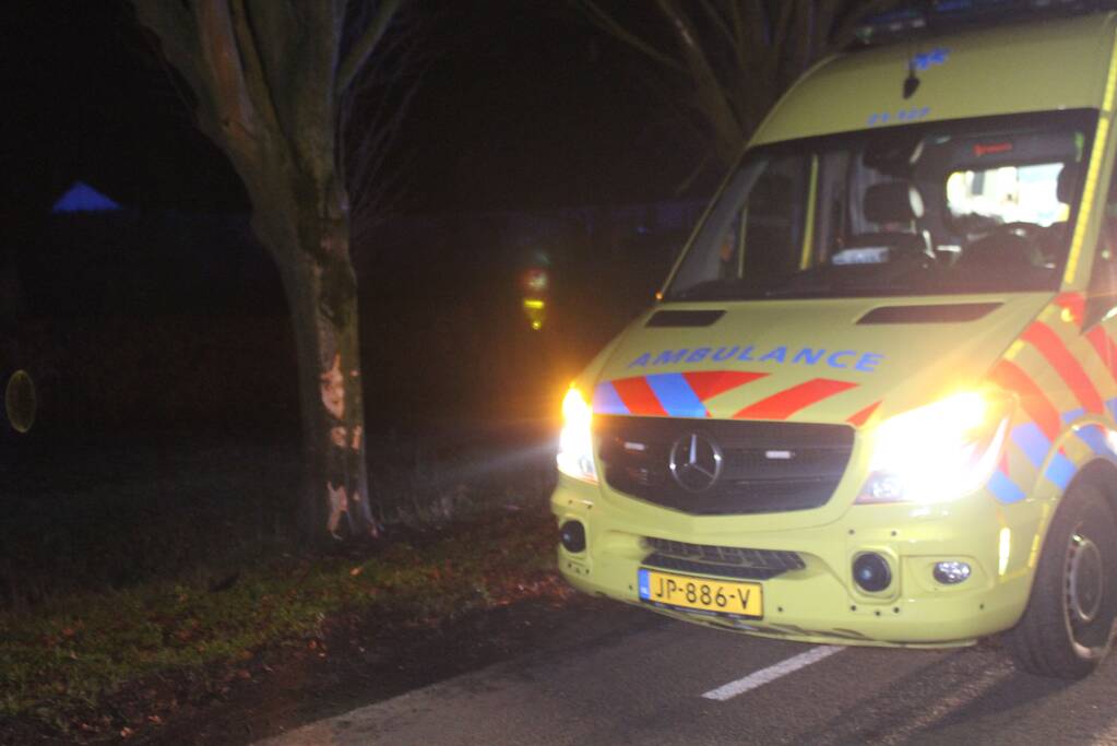 Dronken automobilist rijdt tegen boom