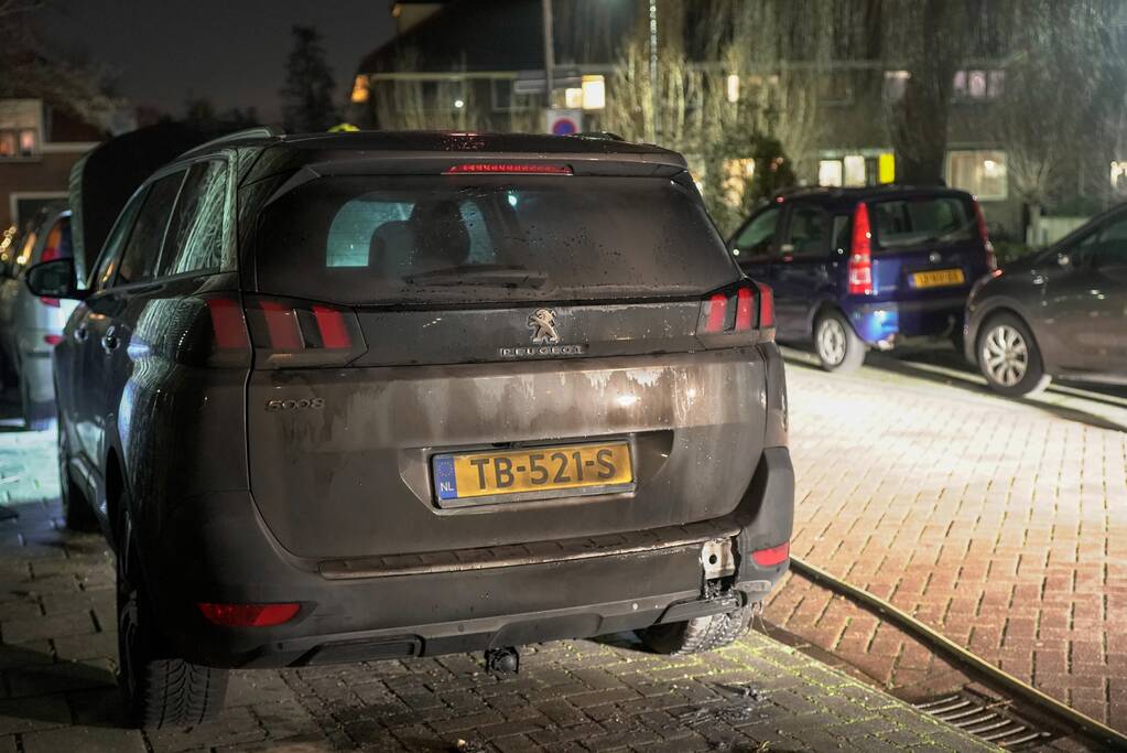 Geparkeerde auto vat vlam