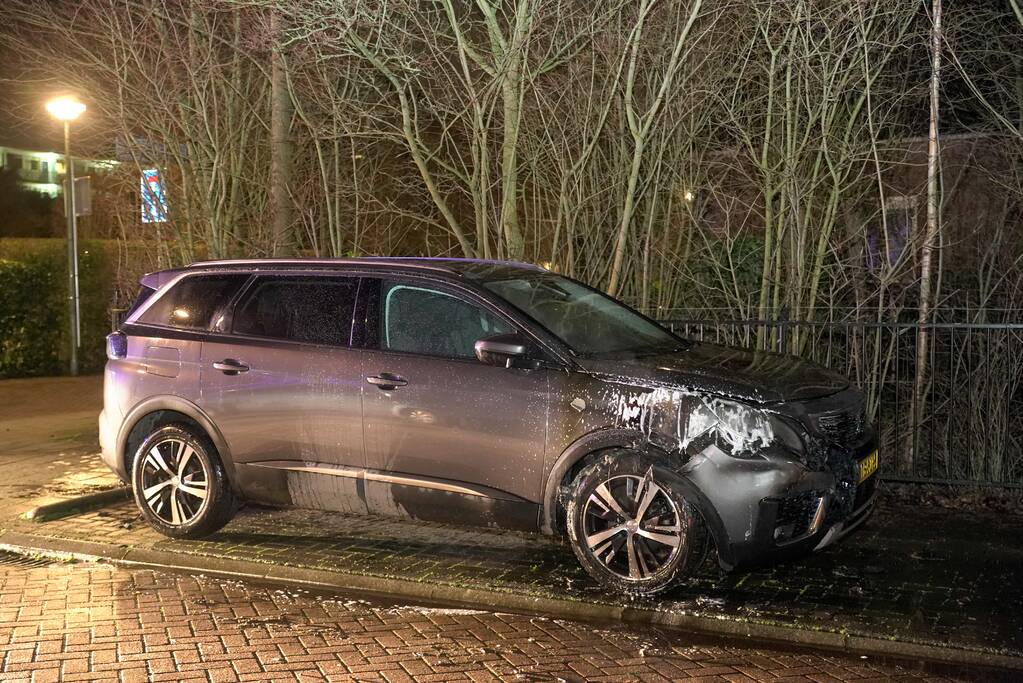 Geparkeerde auto vat vlam