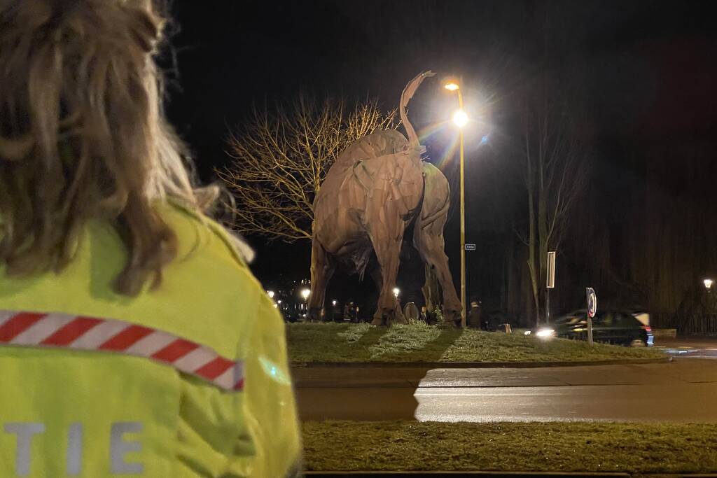 Veel politie op de been bij de Stier
