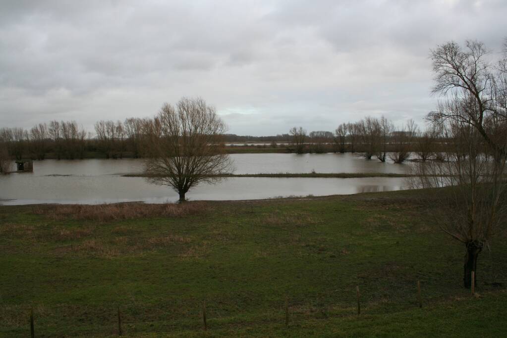 Water van De Waal staat flink hoog