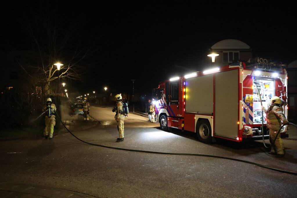 Struiken vliegen in brand