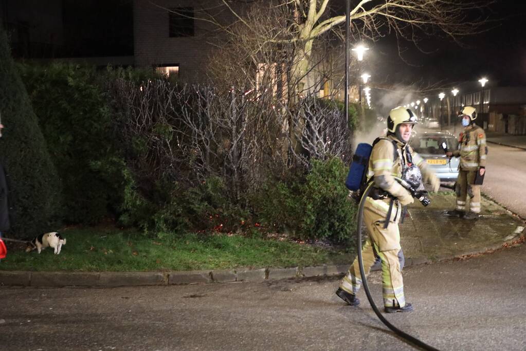 Struiken vliegen in brand