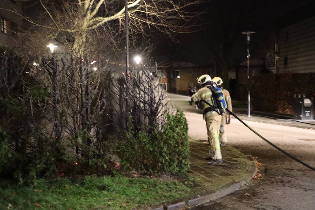 Struiken vliegen in brand