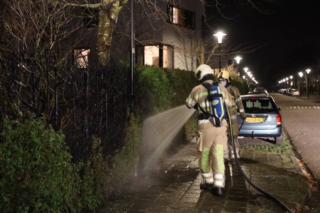 Struiken vliegen in brand