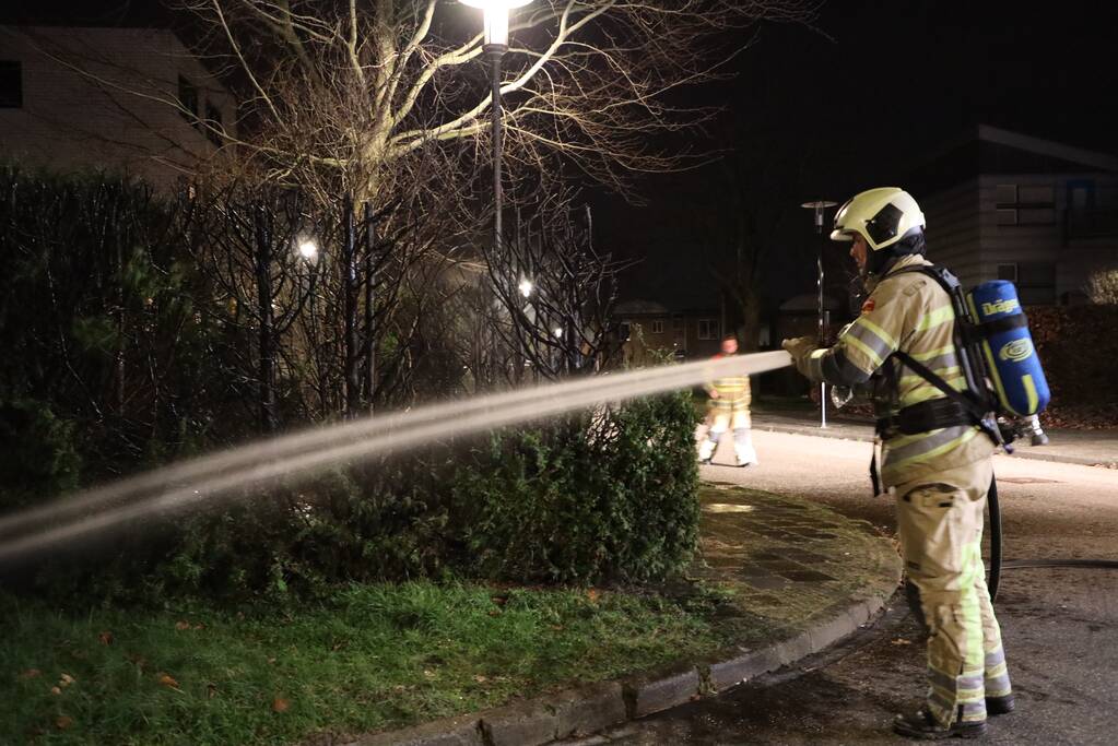 Struiken vliegen in brand