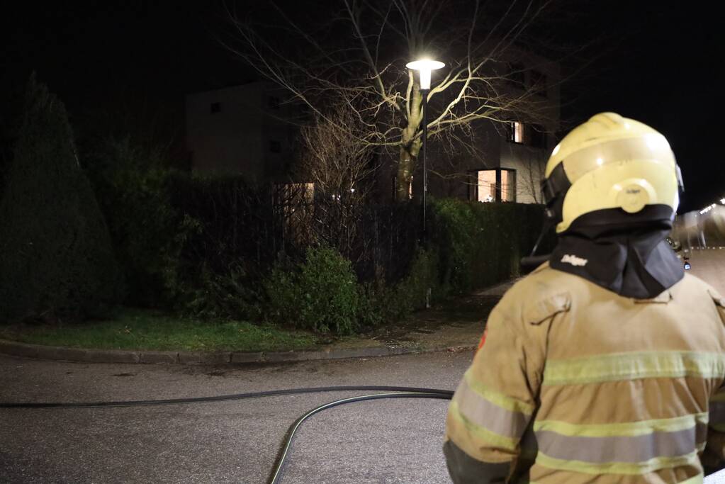 Struiken vliegen in brand