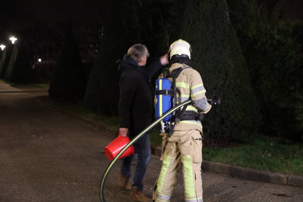 Struiken vliegen in brand