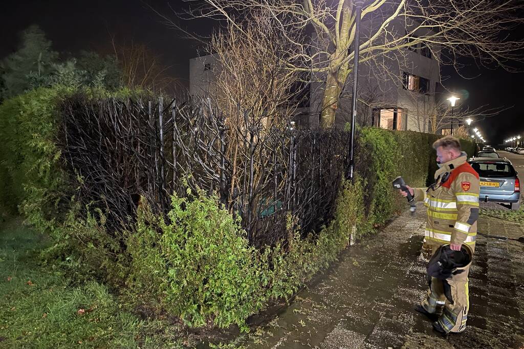Struiken vliegen in brand
