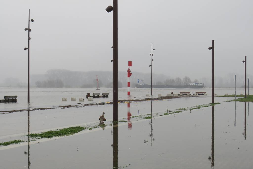 Water van De Waal komt steeds hoger