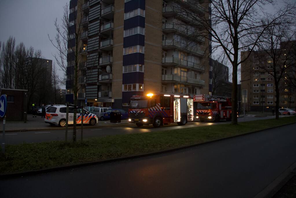 Brand in flatwoning