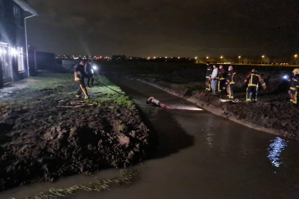 Shetlandpony raakt te water