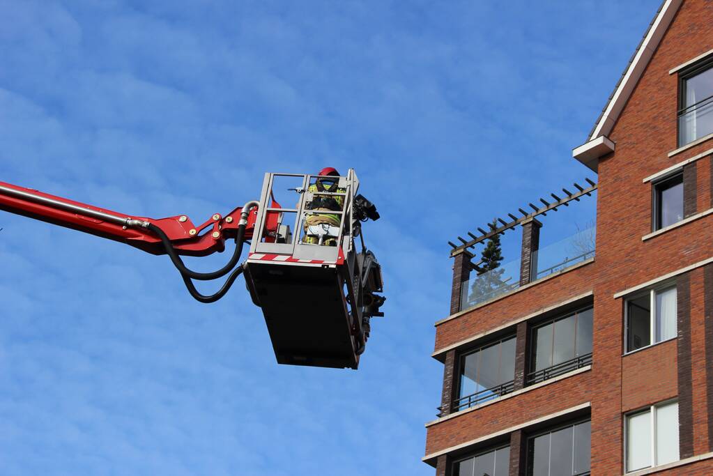 Brandweer bevrijdt vogel uit benarde positie
