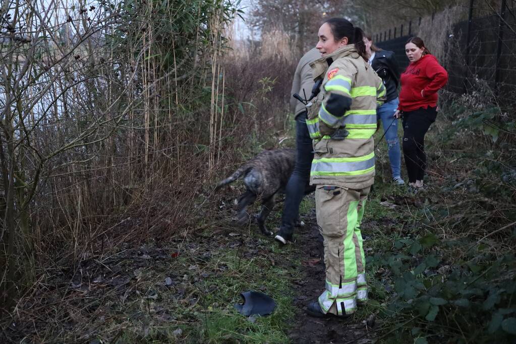 Brandweer redt hond te water