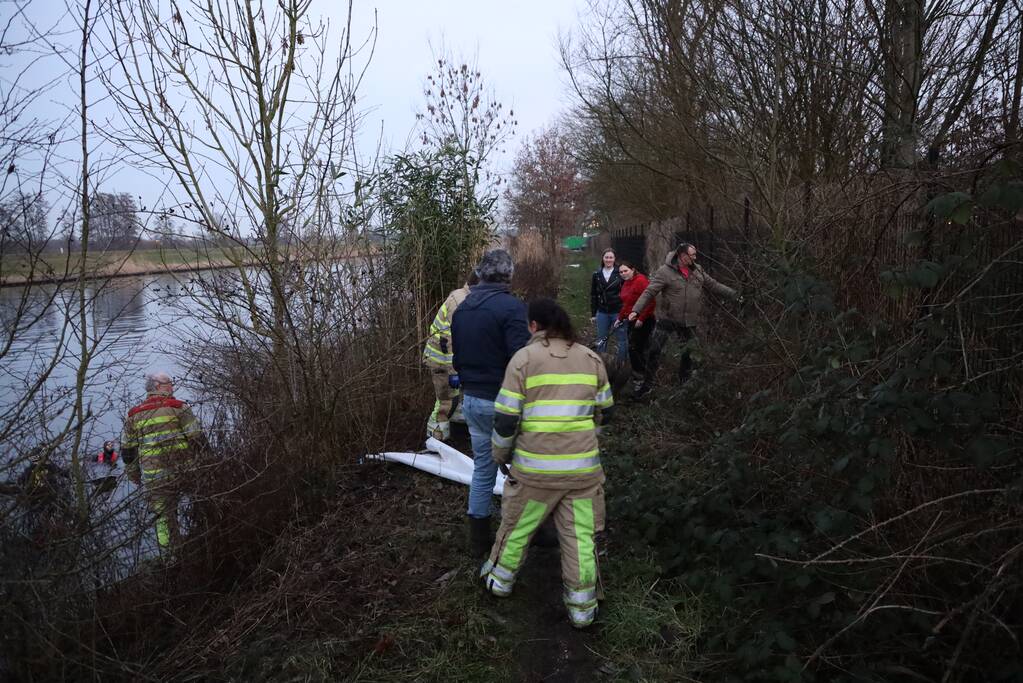 Brandweer redt hond te water