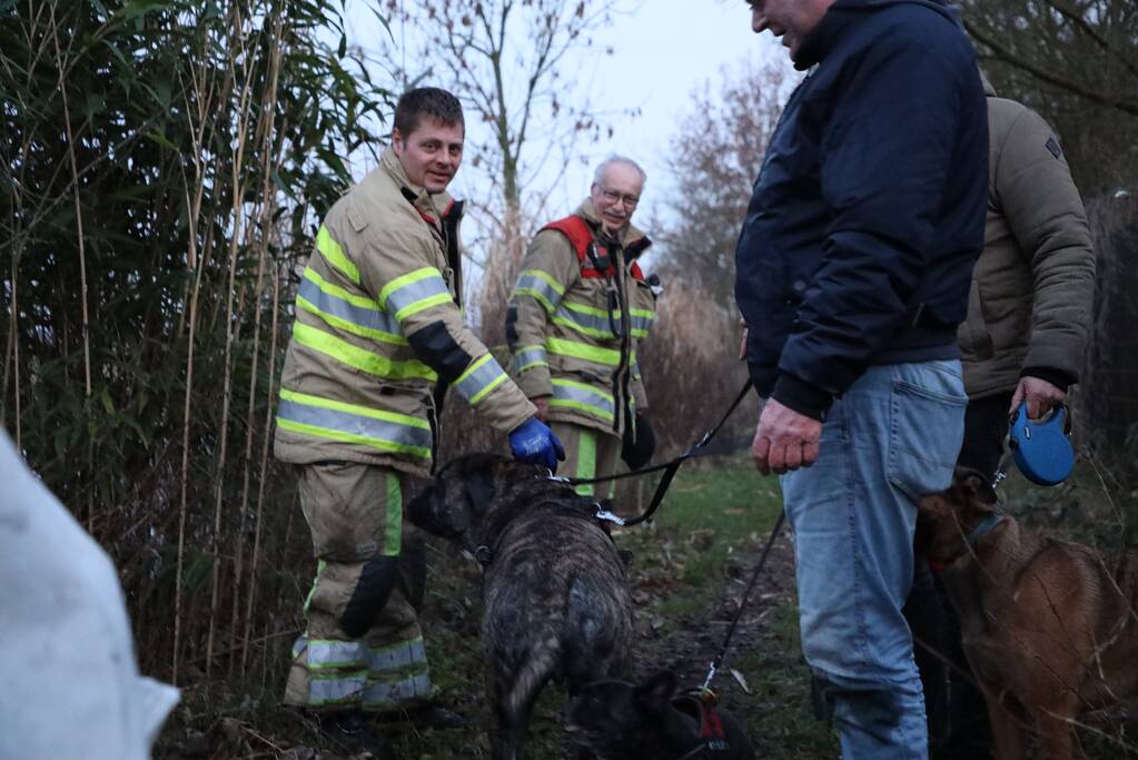 Brandweer redt hond te water