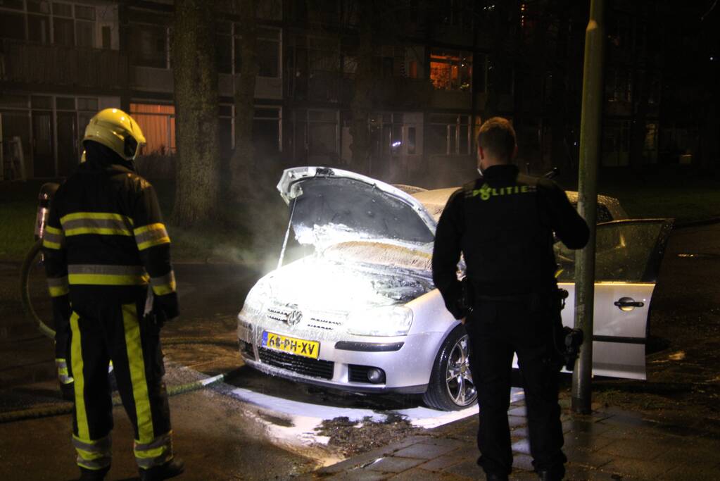 Auto total-loss na brand