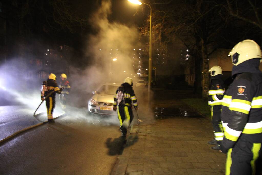 Auto total-loss na brand