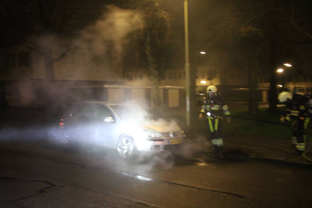 Auto total-loss na brand