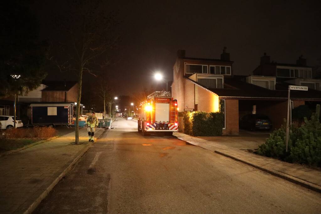 Kat springt uit boom bij reddingspoging