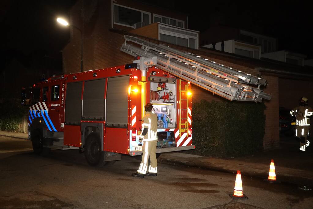 Kat springt uit boom bij reddingspoging