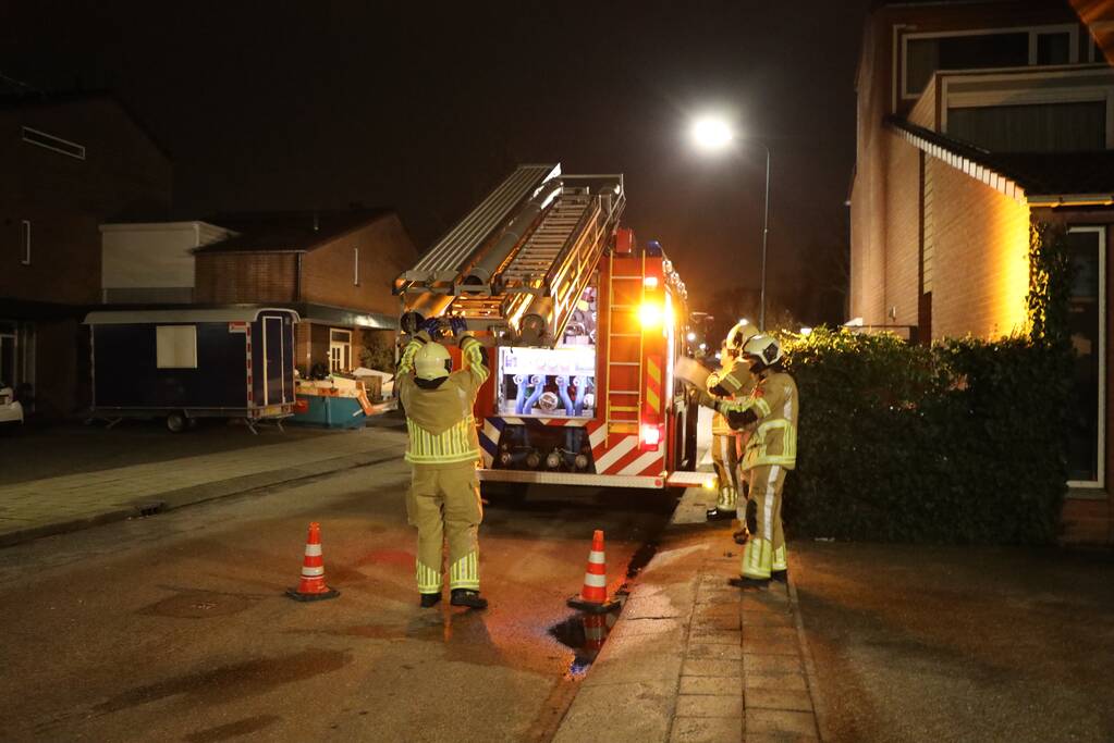 Kat springt uit boom bij reddingspoging