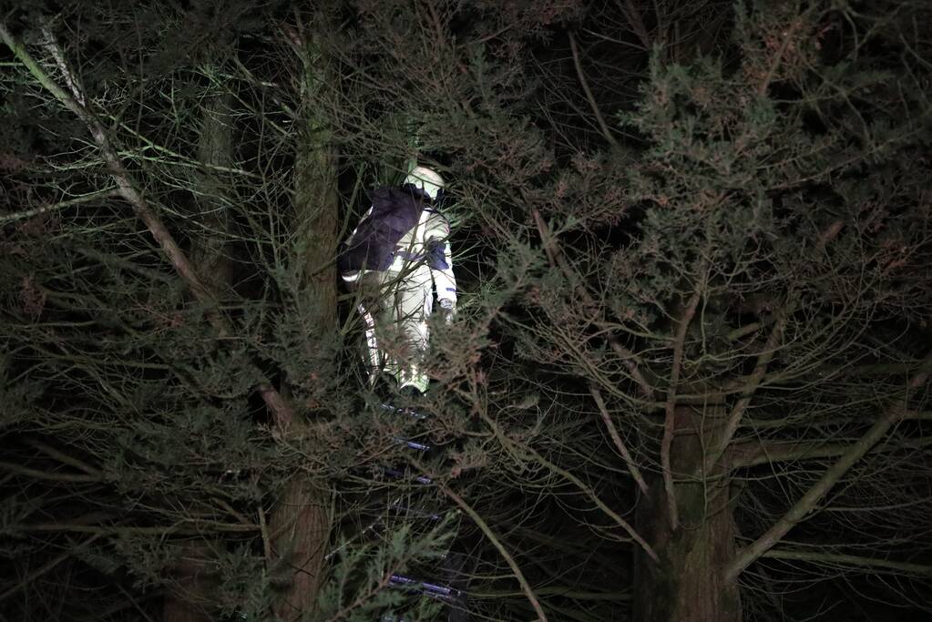 Kat springt uit boom bij reddingspoging