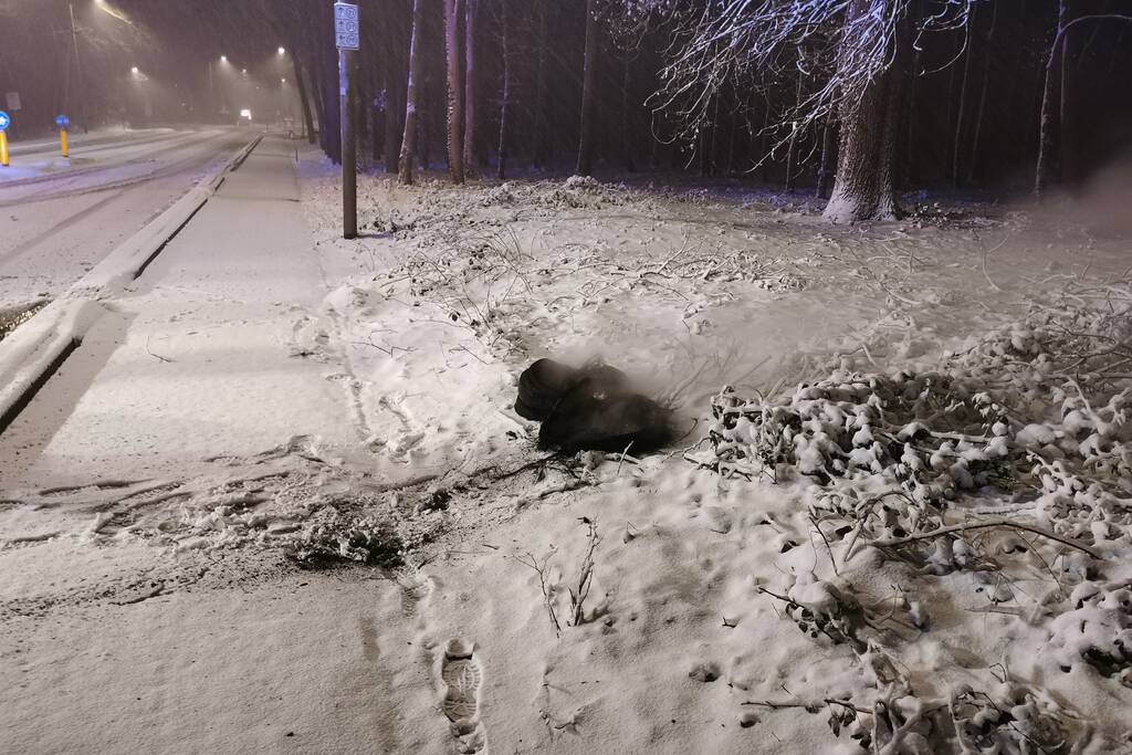 Autobanden op vluchtheuvel in brand gestoken