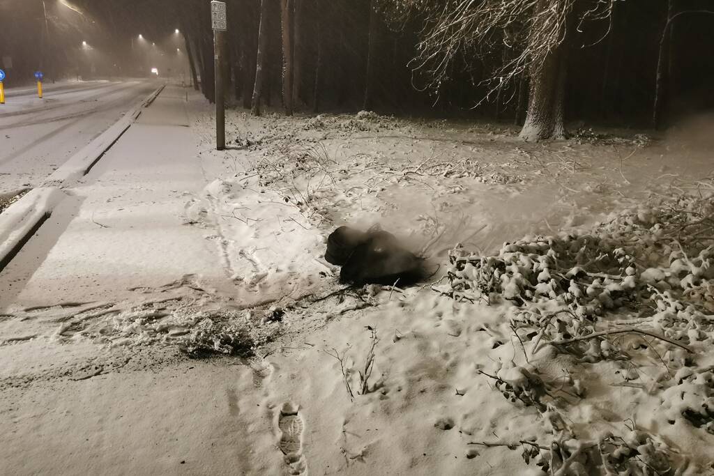 Autobanden op vluchtheuvel in brand gestoken