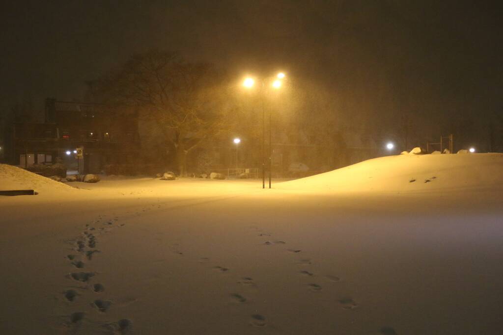 Nederland ontwaakt onder deken van sneeuw